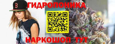 эйфоретик Шахты