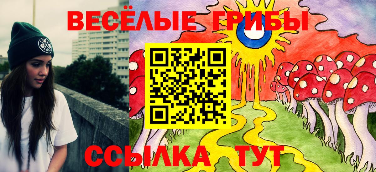 Псилоцибиновые грибы Psilocybine cubensis Алейск