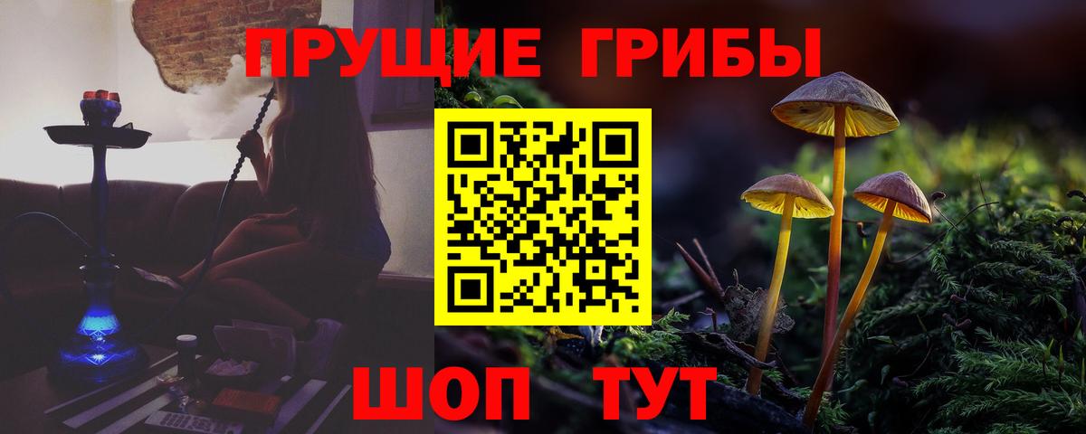 Галлюциногенные грибы Psilocybe  Псилоцибиновые грибы Magic Shrooms  Вход с VPN  Алейск 